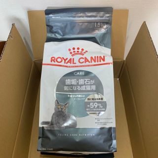 ロイヤルカナン(ROYAL CANIN)のロイヤルカナンオーラルケア成猫用　1.5キロ(ペットフード)