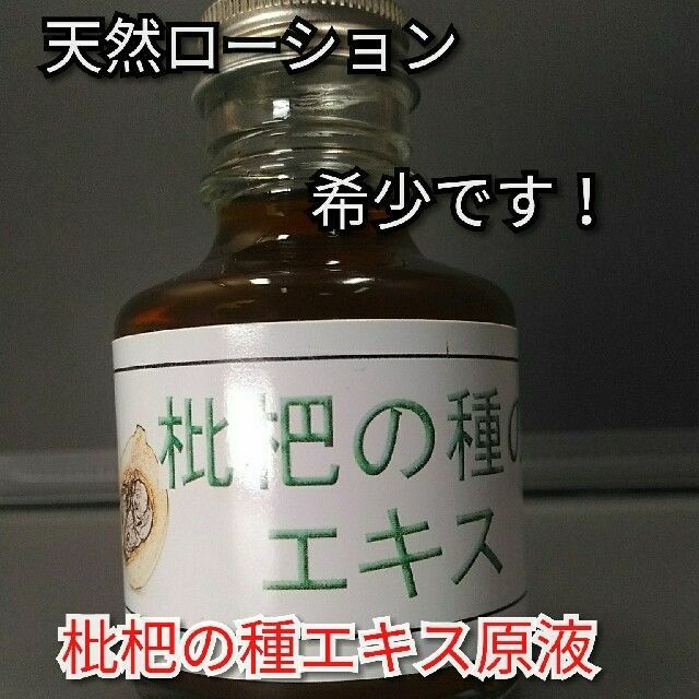 枇杷の種エキス　100ml インテリア/住まい/日用品の日用品/生活雑貨/旅行(その他)の商品写真