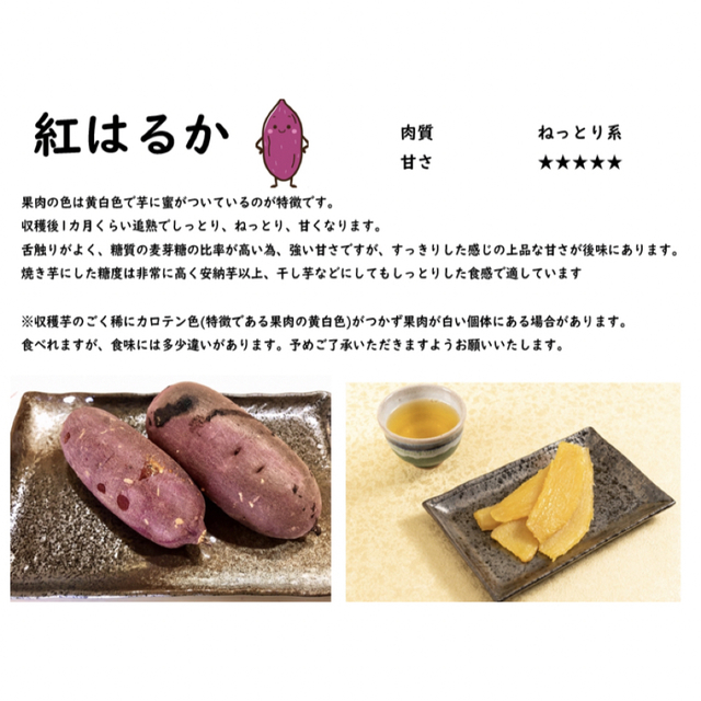 人気のさつまいも苗(紅はるか)ねっとりしたとても甘い 20本+予備苗 食品/飲料/酒の食品(野菜)の商品写真