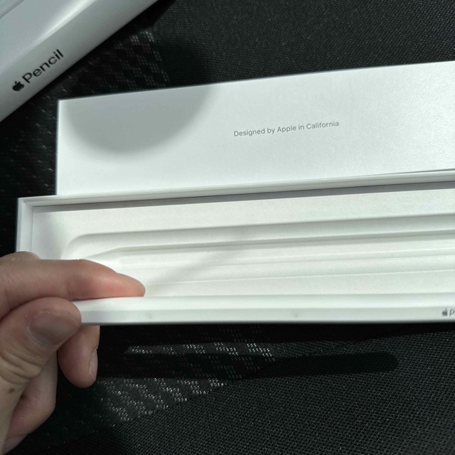 Apple Japan(同) iPadPro Apple Pencil 第2世代MU8F2JA代表カラー