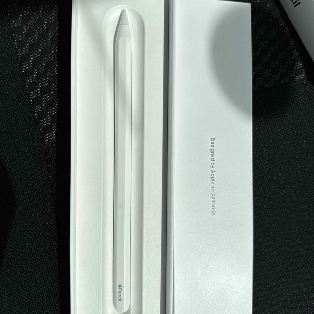 Apple Japan(同) iPadPro Apple Pencil 第2世代MU8F2JA代表カラー