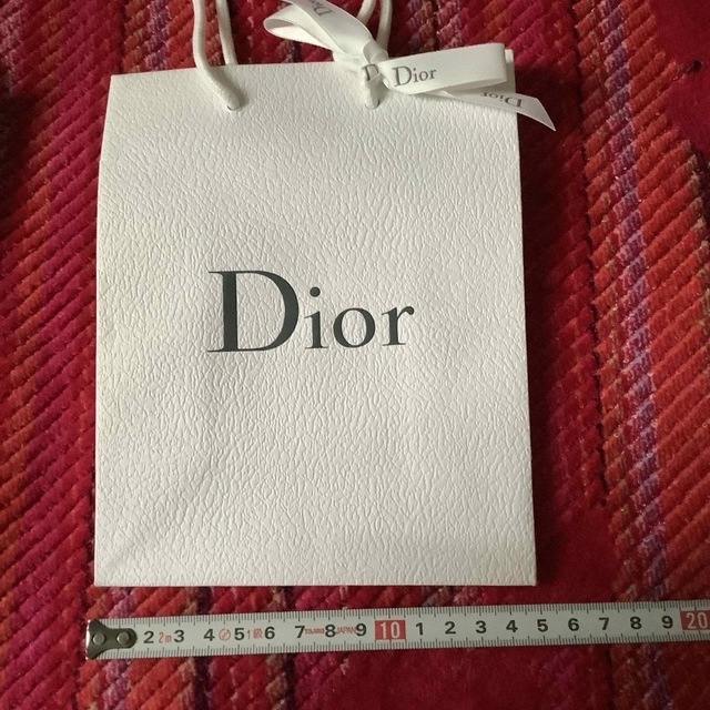 CHANEL(シャネル)のブランドショッパー　CHANEL DIOR２枚セット レディースのバッグ(ショップ袋)の商品写真