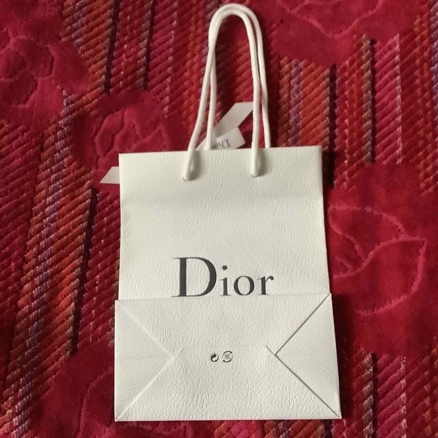 CHANEL(シャネル)のブランドショッパー　CHANEL DIOR２枚セット レディースのバッグ(ショップ袋)の商品写真