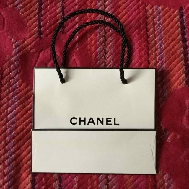 CHANEL(シャネル)のブランドショッパー　CHANEL DIOR２枚セット レディースのバッグ(ショップ袋)の商品写真