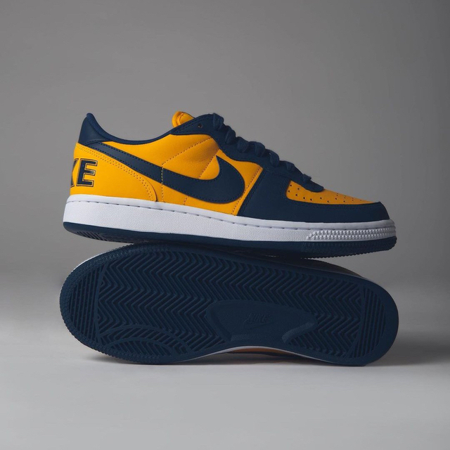 店舗 関東 Nike Terminator Low Michigan 靴/シューズ corpslim.com.br