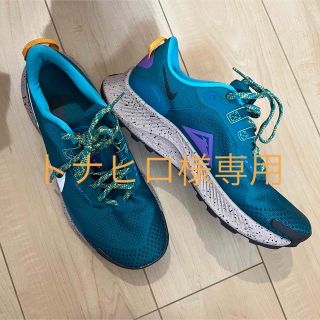 ナイキ(NIKE)の【美品】NIKE ナイキ　ペガサス　トレイル3 サイズ7.5(スニーカー)