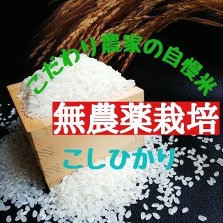 こだわり農家の自慢米  白米10㎏(無農薬栽培)　　　令和4年産(米/穀物)
