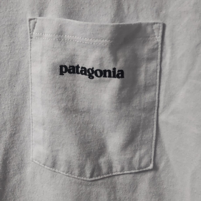 patagonia(パタゴニア)のMサイズ　Patagonia パタゴニア　ポケットTシャツ メンズのトップス(Tシャツ/カットソー(半袖/袖なし))の商品写真