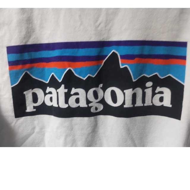 patagonia(パタゴニア)のMサイズ　Patagonia パタゴニア　ポケットTシャツ メンズのトップス(Tシャツ/カットソー(半袖/袖なし))の商品写真