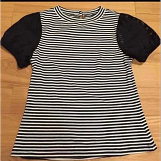 ジルスチュアート(JILLSTUART)の新品  JILL STUART 半袖 カットソー(カットソー(半袖/袖なし))