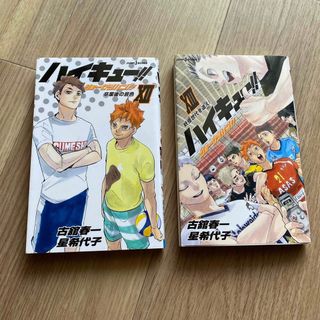 シュウエイシャ(集英社)のハイキュー！！ショーセツバン！！  2冊(文学/小説)