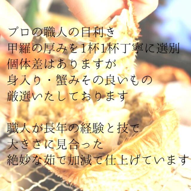 【訳あり】北海道産　毛蟹　2尾セット（合計約900ｇ〜1ｋｇ分）　付け足 食品/飲料/酒の食品(魚介)の商品写真