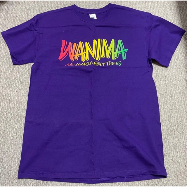 WANIMA(ワニマ)のWANIMA Tシャツ　Mサイズ メンズのトップス(Tシャツ/カットソー(半袖/袖なし))の商品写真