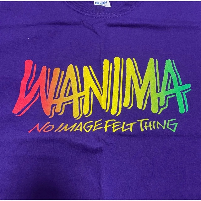 WANIMA(ワニマ)のWANIMA Tシャツ　Mサイズ メンズのトップス(Tシャツ/カットソー(半袖/袖なし))の商品写真