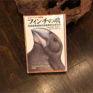 ピューリッツァー賞 フィンチの嘴/ジョナサン ワイヤー★ガラパゴス諸島 鳥 研究(ノンフィクション/教養)