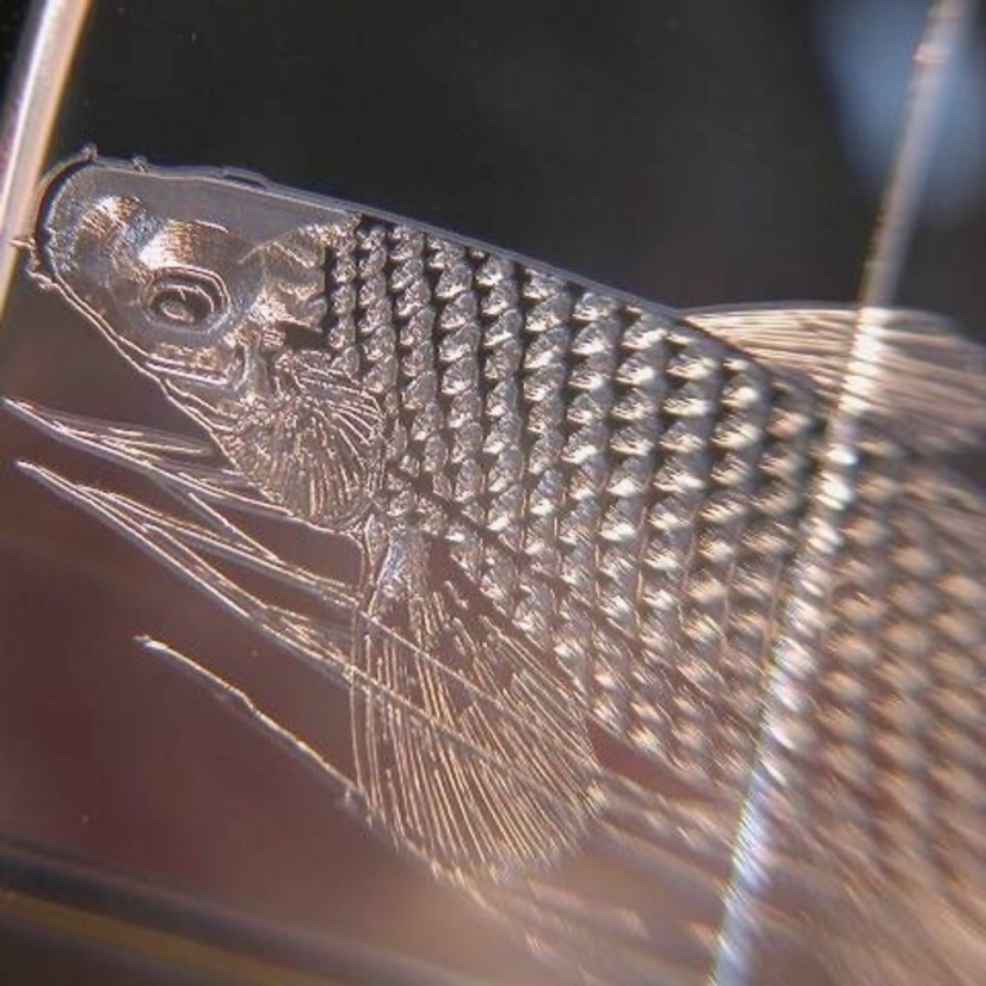 ジッポアーマーボディ 鯉ジッポー名前彫刻 和柄彫刻ワガラzippo - 通販