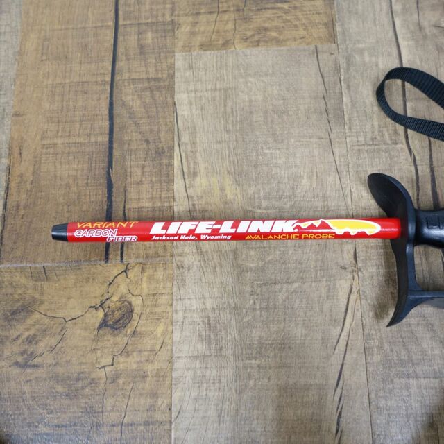 ライフリンク LIFE-LINK VARIANT CARBON FIBER スキー ストック ライフリンク LIFE-LINK VARIANT CARBON FIBER スキー ストック