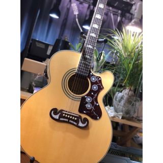 最新作 【希少品】Chatting Bird 限定モデル CAN-HH エレキギター