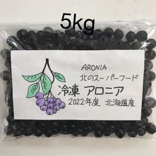 北海道産アロニア冷凍果実 5kg(フルーツ)