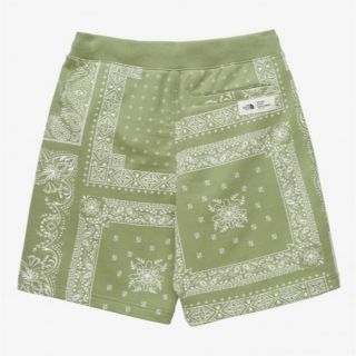 【海外限定】ノースフェイス ノベルティ カーゴショーツパンツ