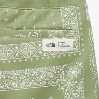 THE NORTH FACE - 【海外限定】ノースフェイス ノベルティ カーゴ