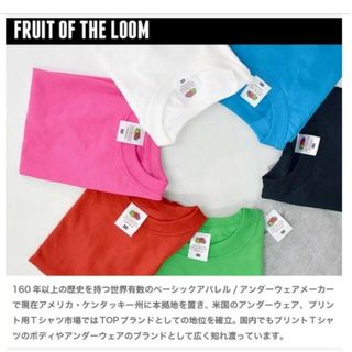 フルーツオブザルーム(FRUIT OF THE LOOM)のフルーツオブザルーム カラーTシャツ(Tシャツ/カットソー)