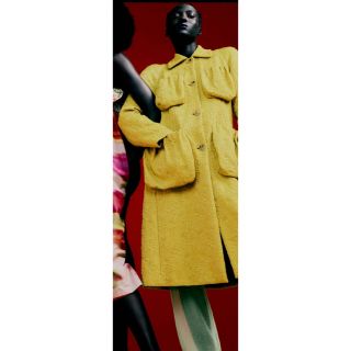 ドリスヴァンノッテン ロングコート(レディース)の通販 56点 | DRIES