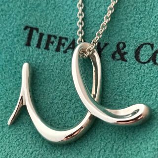 ネックレスTiffany ボリュームイニシャルp ロング チェーンネックレス希少