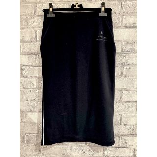 ダブルスタンダードクロージング(DOUBLE STANDARD CLOTHING)のDOUBLE STANDARD CLOTHING ESSENTIAL スカート(ひざ丈スカート)