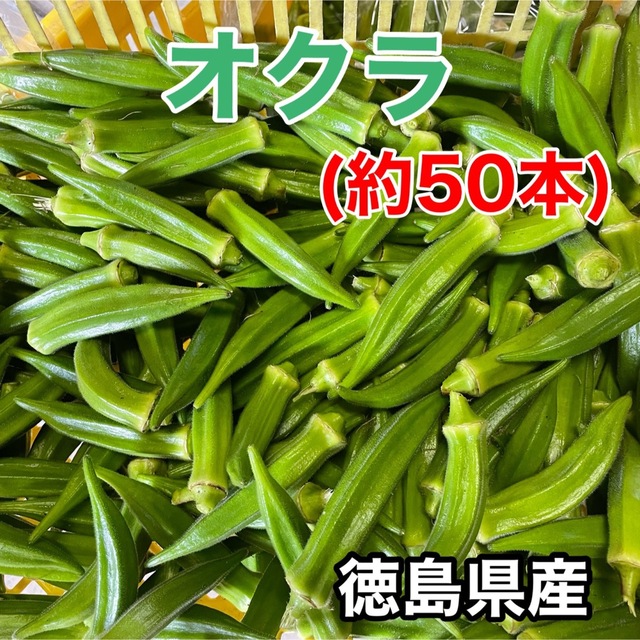 徳島県産 オクラ ネコポスいっぱい(約50本) 食品/飲料/酒の食品(野菜)の商品写真