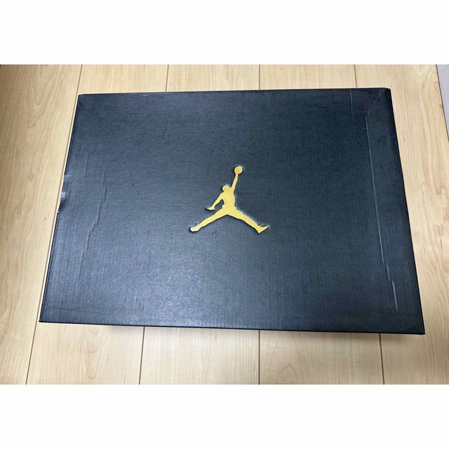 Jordan Brand（NIKE）(ジョーダン)のJordan 9 low mangoo （ナイキ エアジョーダン9 レトロ ） メンズの靴/シューズ(スニーカー)の商品写真