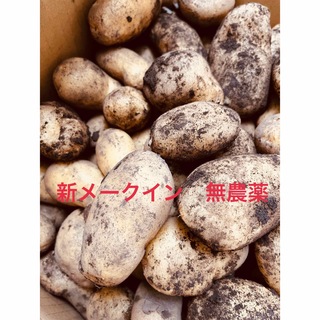 新ジャガイモ静岡産❣️メークイン取り立て❣️箱込み10キロ　送料無料❣️