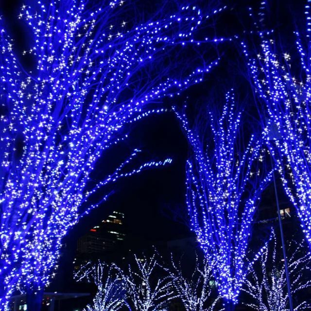 色: ブルー】 日本市場向け ホテル装飾の輝き 丈夫 イルミネーション