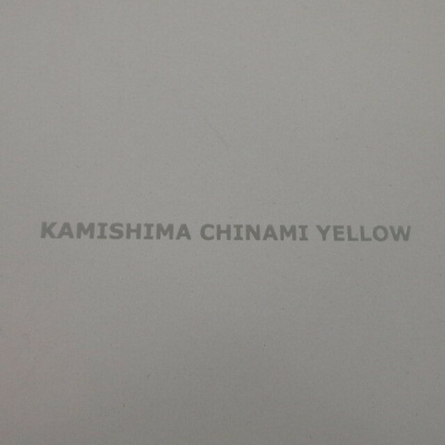 KAMISHIMA CHINAMI(カミシマチナミ)のKAMISHIMA CHINAMI YELLOW ショートブーツ レザー レディースの靴/シューズ(ブーツ)の商品写真