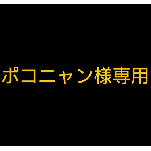 ポコニャン様専用 エンタメ/ホビーのタレントグッズ(その他)の商品写真