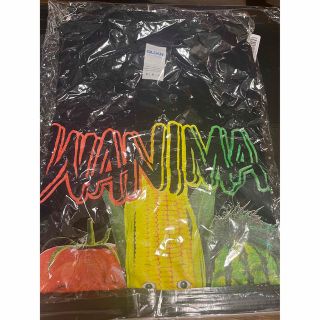 ワニマ(WANIMA)のWANIMA ライブTシャツM(ミュージシャン)