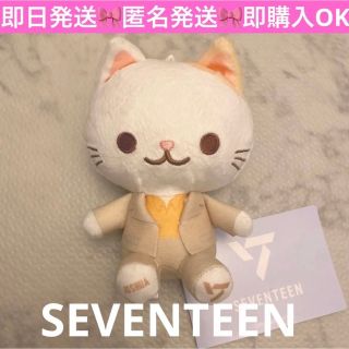 セガ(SEGA)の【即日発送】SEVENTEEN セブチ猫ぬいぐるみ　JOSHUA  ジョシュア(アイドルグッズ)