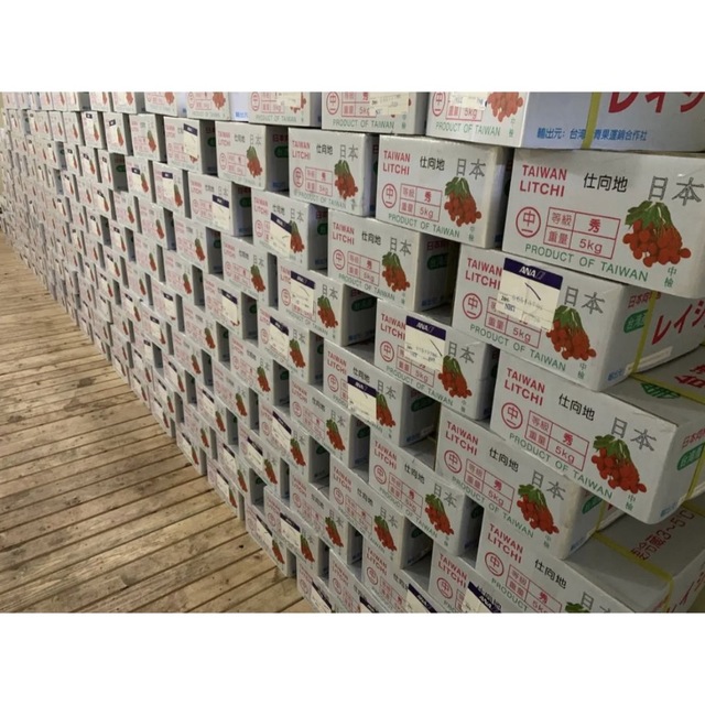 台湾から直輸入 高級 生ライチ 《玉荷包(ぎょっかほう)》 約500g 食品/飲料/酒の食品(フルーツ)の商品写真