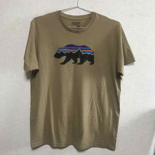 パタゴニア(patagonia)のパタゴニア　スリムフィット　Lサイズ(Tシャツ/カットソー(半袖/袖なし))