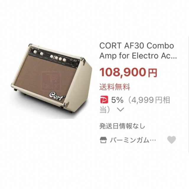 アコースティック　ギター　アンプ　CORT AF30 Combo Amp アコギ