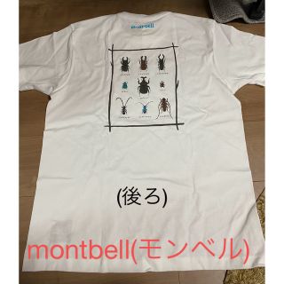 モンベル　クワガタ　カブトムシ　カミキリ　Tシャツ　タグ無し　未使用