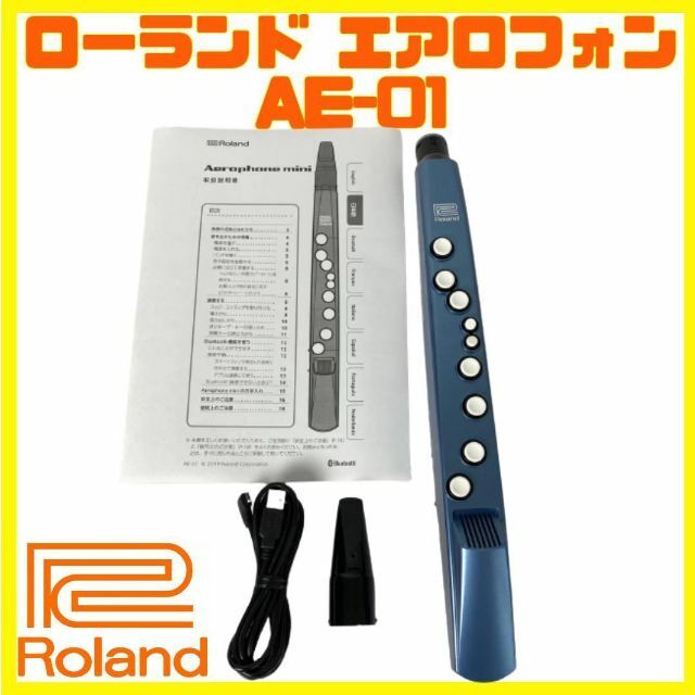 美品 Roland AE-01 ローランド エアロフォン | mdh.com.sa