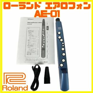 Roland - 美品 Roland AE-01 ローランド エアロフォン ミニ