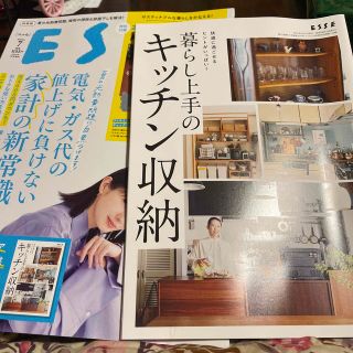 ESSE(エッセ)増刊 2023年 07月号‼️(その他)