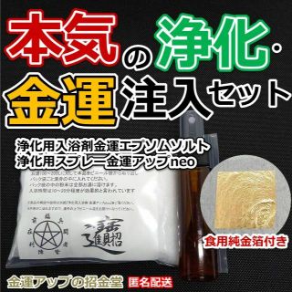 月に１回の本気の浄化・金運注入セット（ホワイトセージお香付き）a12(その他)