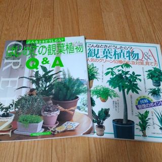 観葉植物の本2冊まとめて！(趣味/スポーツ/実用)