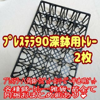 【専用システムトレー：プレステラ90深鉢用】2枚！スリット鉢 プラ鉢 多肉植物(プランター)