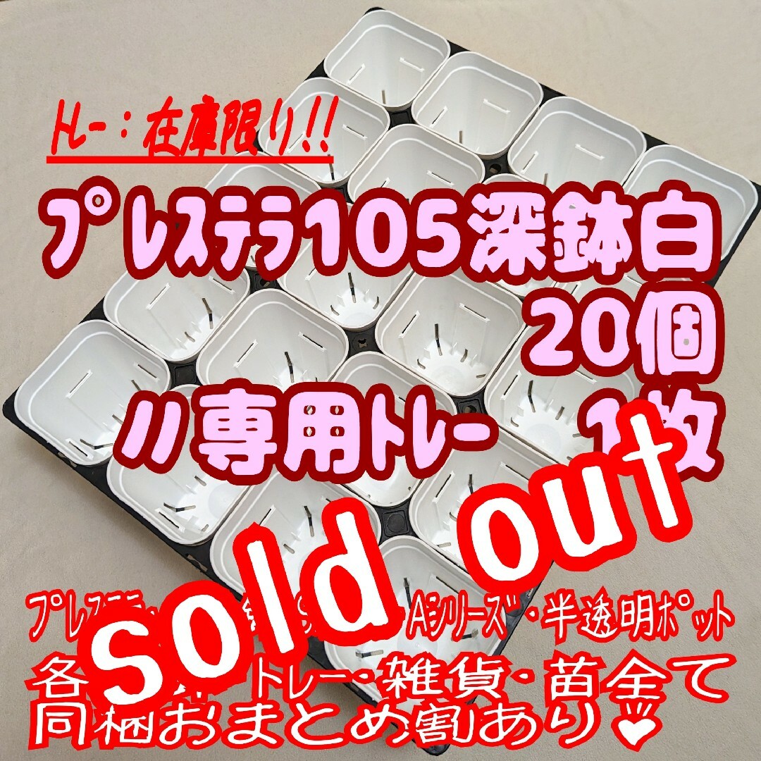 スリット鉢】プレステラ105深鉢白20個+専用システムトレー1枚プラ鉢