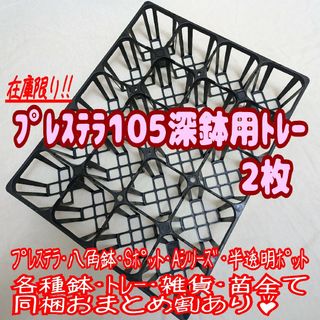 【専用システムトレー：プレステラ105深鉢用】2枚！スリット鉢 プラ鉢 多肉植物(プランター)