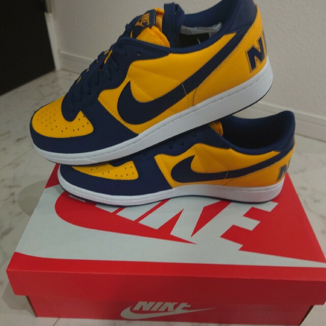 NIKE(ナイキ)のNike Terminator Low Michigan メンズの靴/シューズ(スニーカー)の商品写真